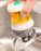 Wire Ball Dish Washing Brush, Steel Wool With Liquid With Liquid Soap Dispenser